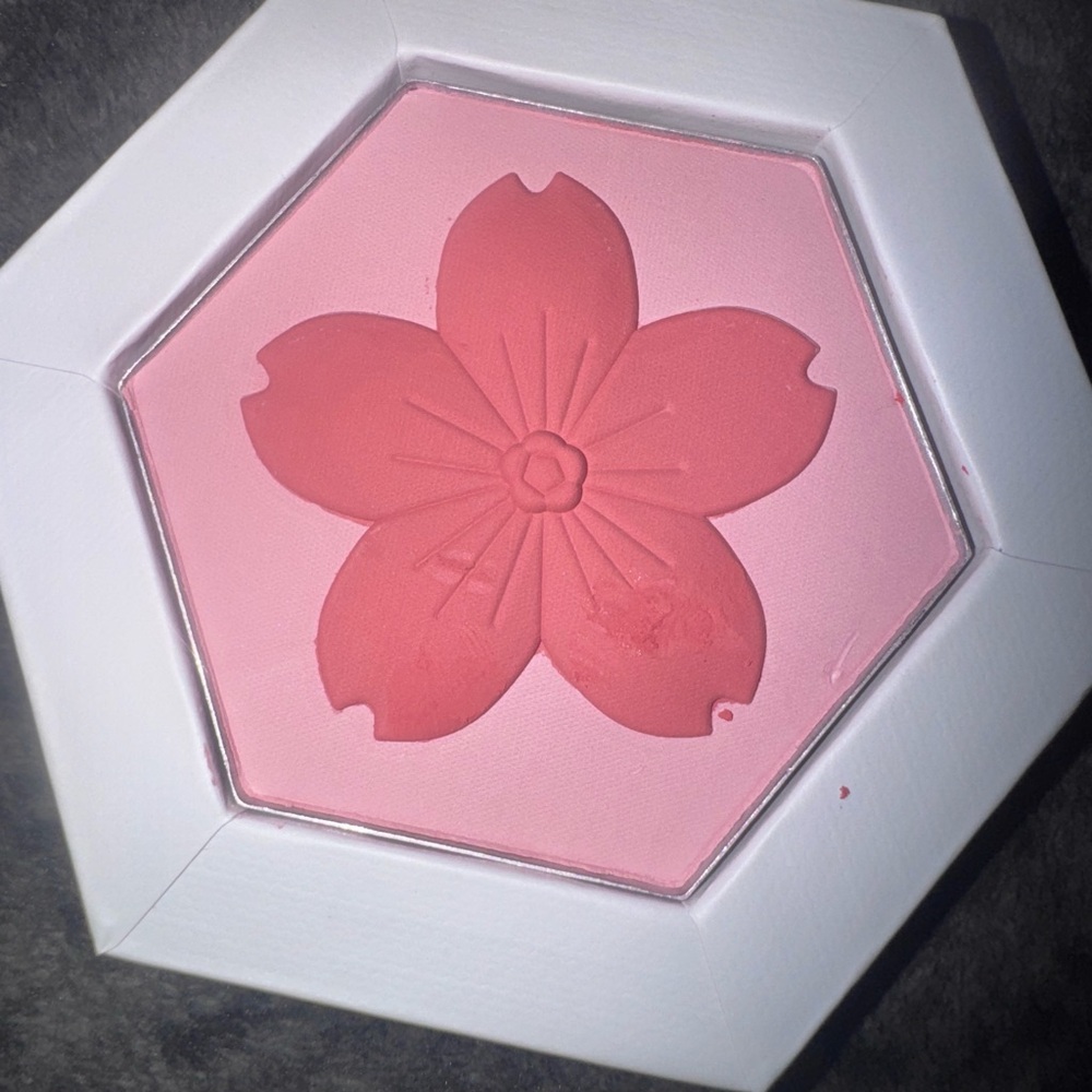 Magnetic case💕 floral Pink Blush Palette